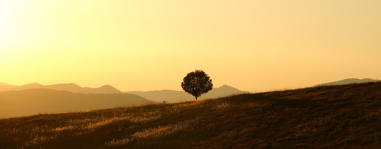 Increde-te in Domnul